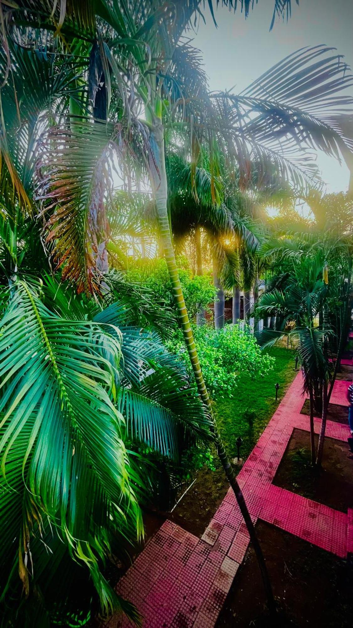 Hotel Jungle Palace Resort Umariā Exterior foto